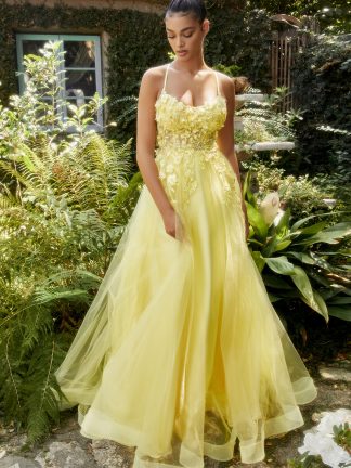 Ava – Paris Yellow LTD Formal Dresses - In Store Today or 7 Day Delivery Formal Dresses Online Australia