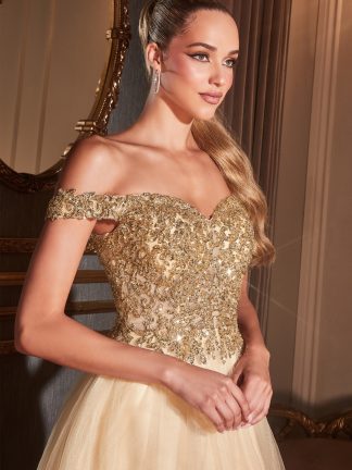 Chantae Plum LTD Formal Dresses - In Store Today or 7 Day Delivery Formal Dresses Online Australia